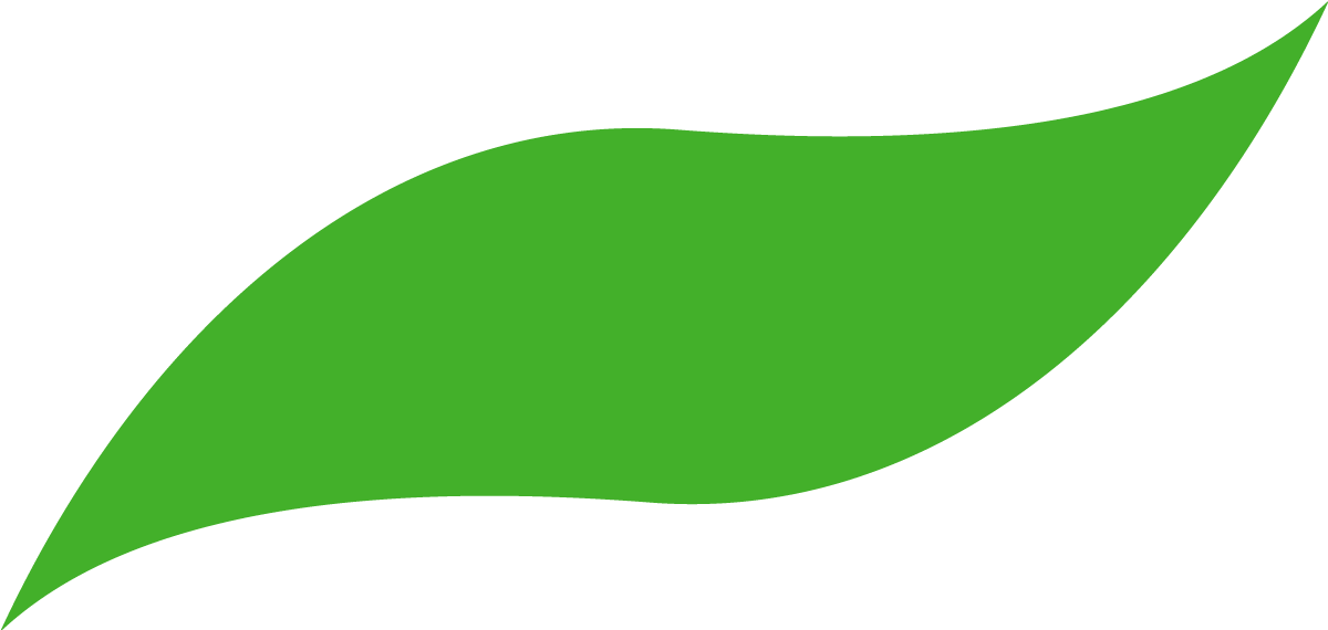 Blad_BamaGr&oslash;nn.png