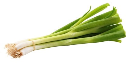 Vårløk