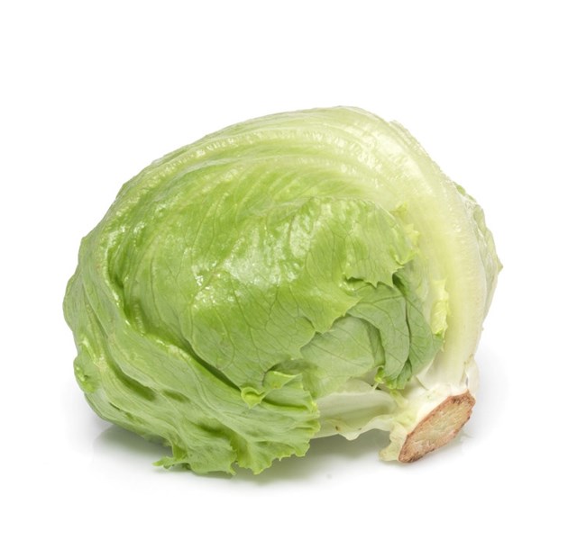 Isbergsalat