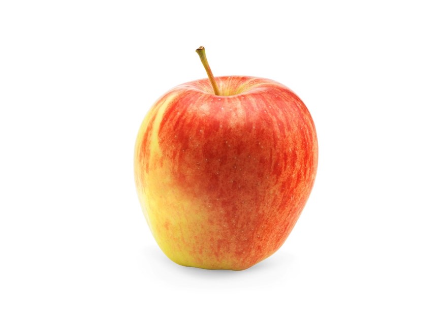 Ambrosia