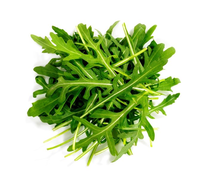 Ruccula