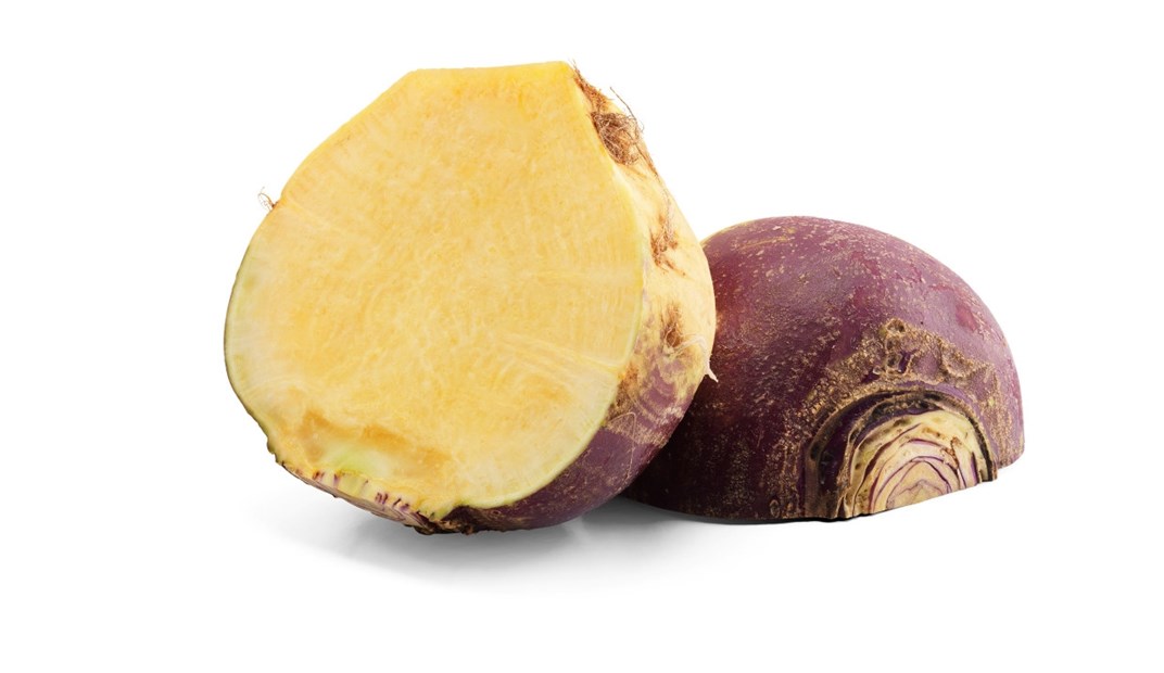 Kålrot
