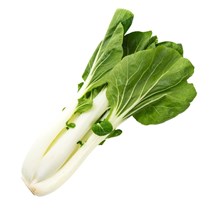 Pak choy