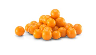 Physalis