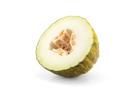 Piel de Sapo