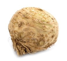 Sellerirot