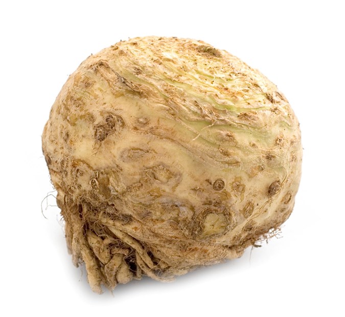 Sellerirot