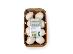 Champignon