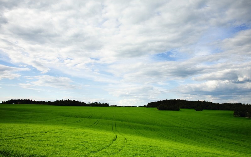 Plantevern