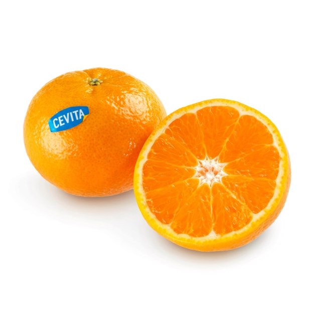 Klementiner