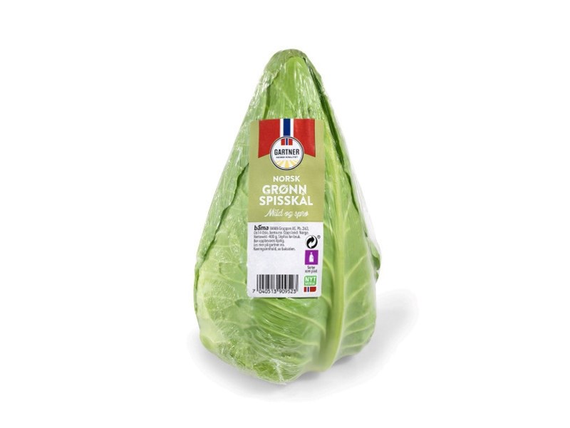 Grønn spisskål