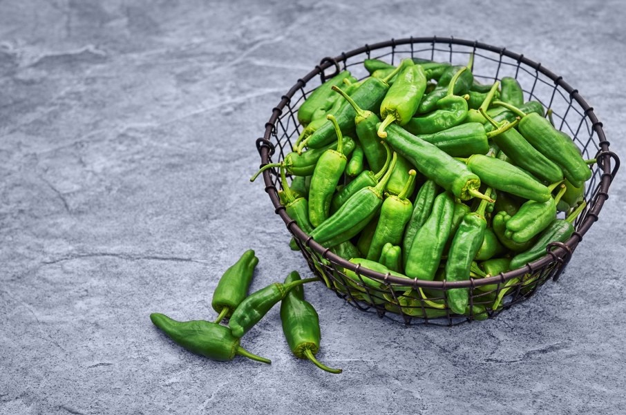 Padron