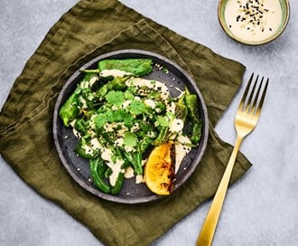 Padron med yoghurt- og tahinidressing