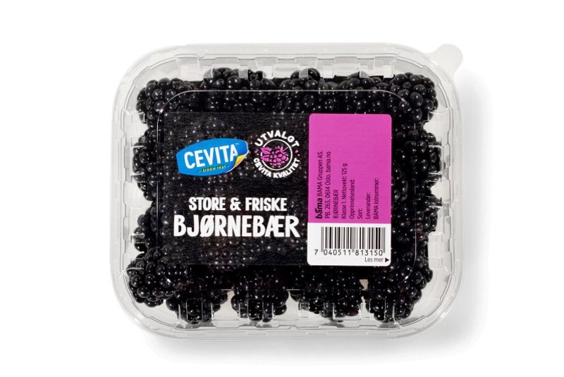 Bjørnebær