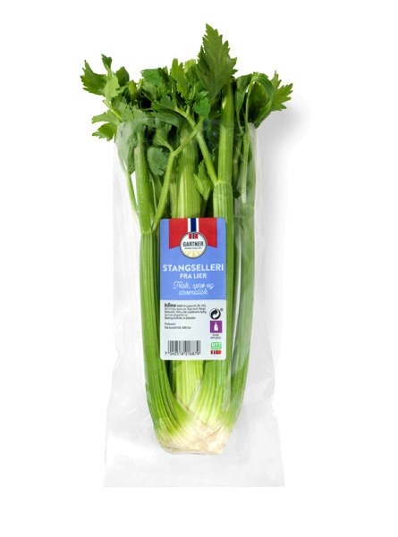 Stangselleri