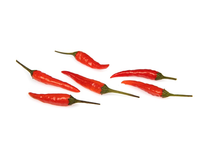 Chili Rawit