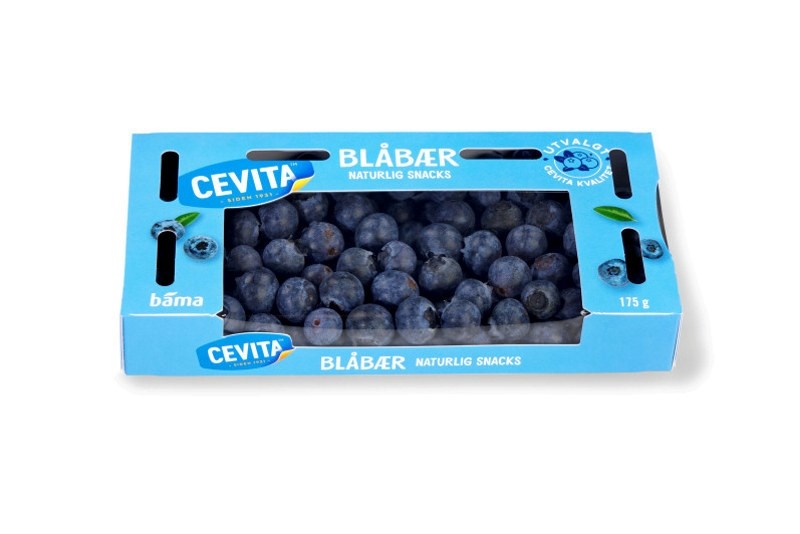 Blåbær