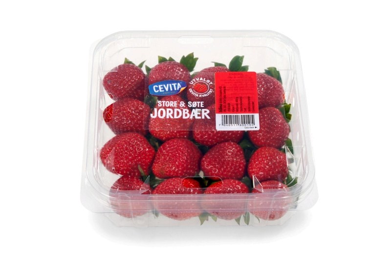 Jordbær