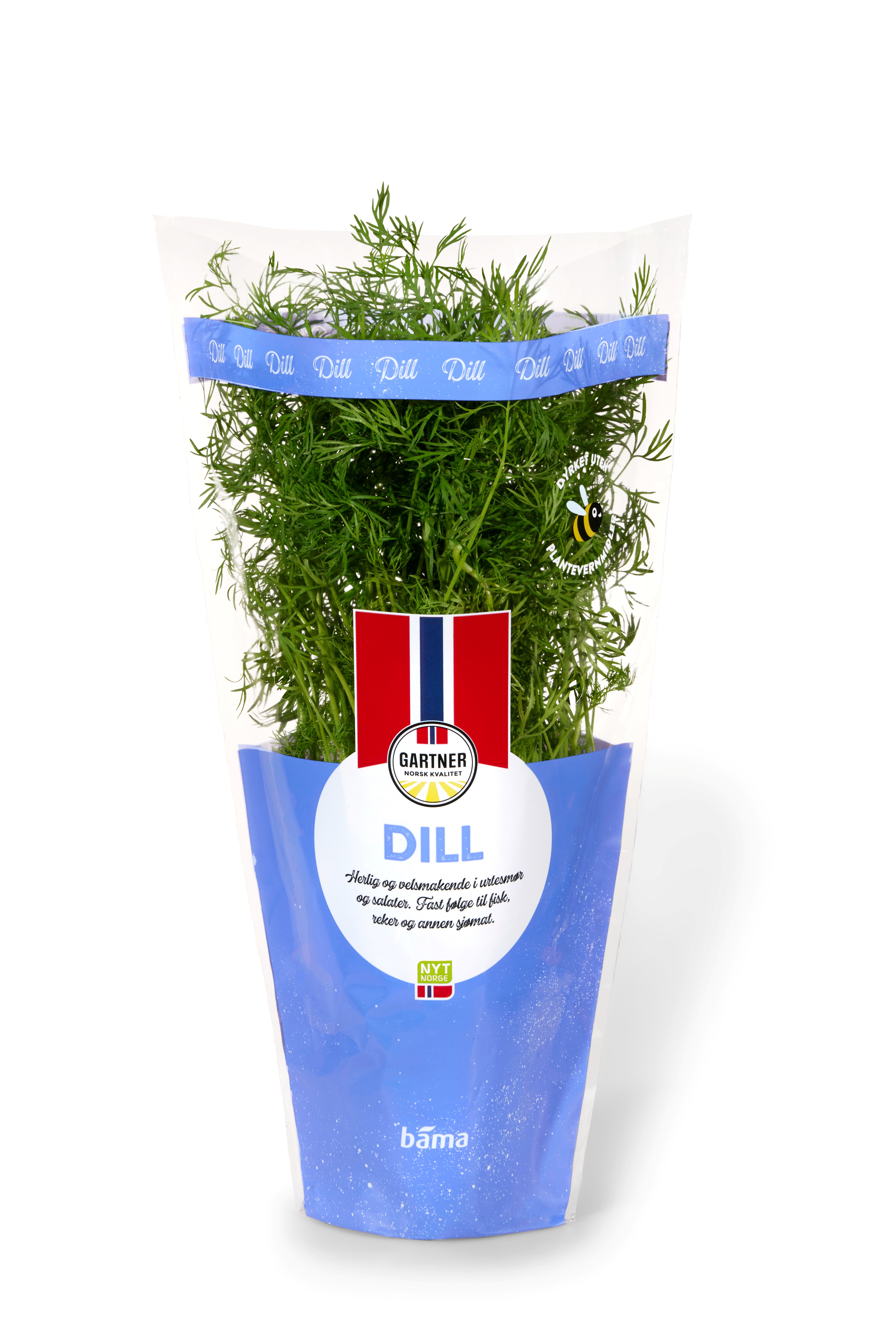 Dill | Bama