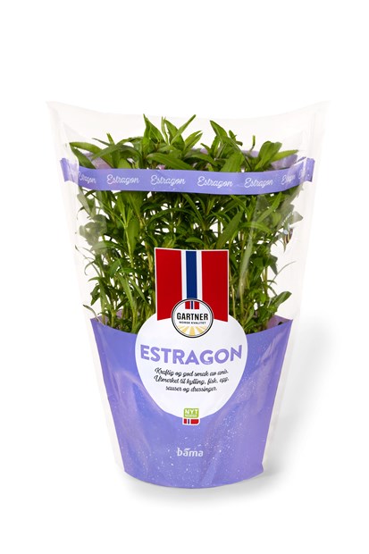 Estragon