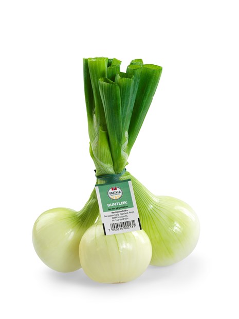 Fersk gul løk