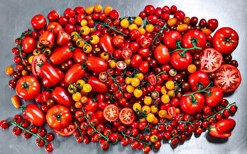 Stor tomatguide