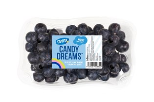 Candy Dreams