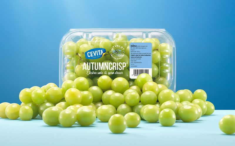 Dette må du vite om AUTUMNCRISP®
