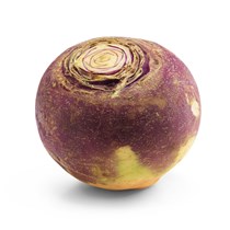 Kålrot